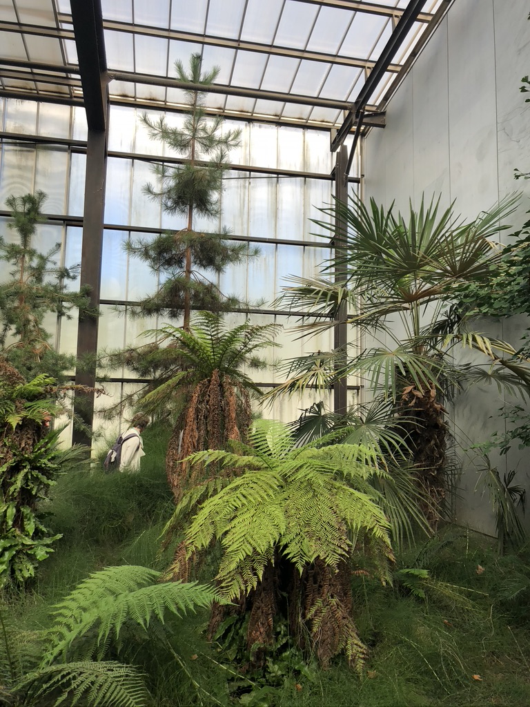 Escapade avec Aud’Étour : des mystères de Rennes-le-Château aux dinosaures d’Espéraza