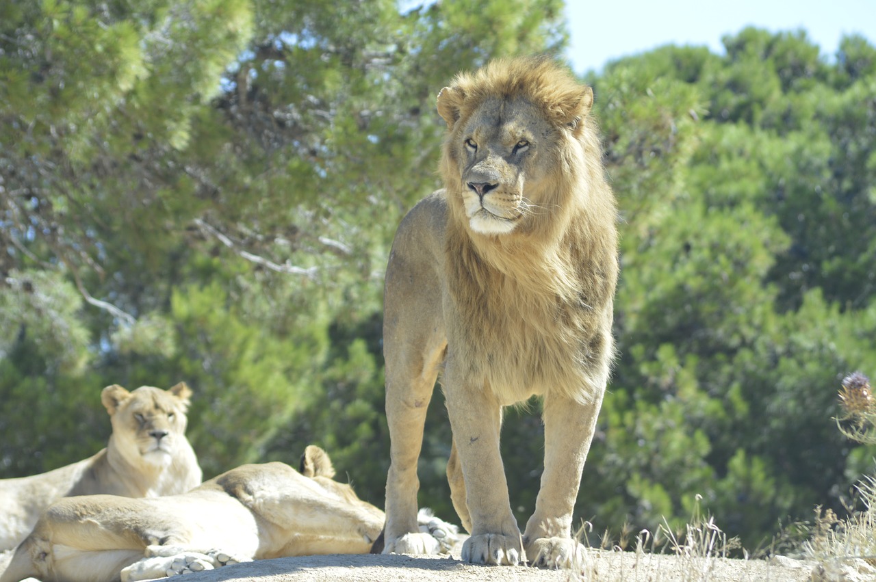 Séjour nature et histoire avec Aud’Étour : explorez Sigean, Carcassonne et les caves de Limoux