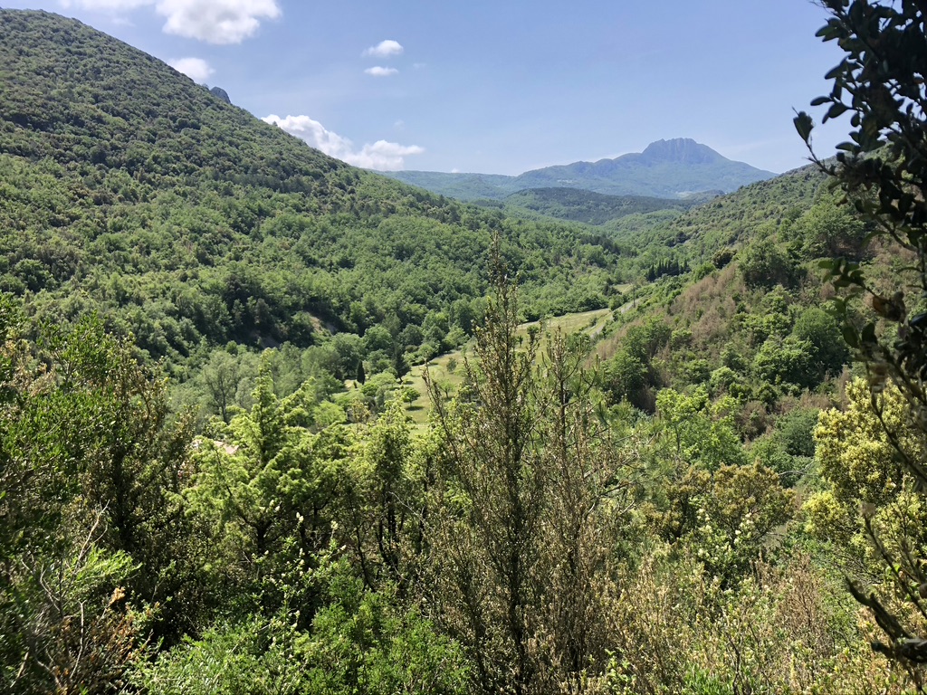 À la découverte des Pyrénées Audoises avec Aud’Étour : un séjour entre châteaux, gorges et nature sauvage