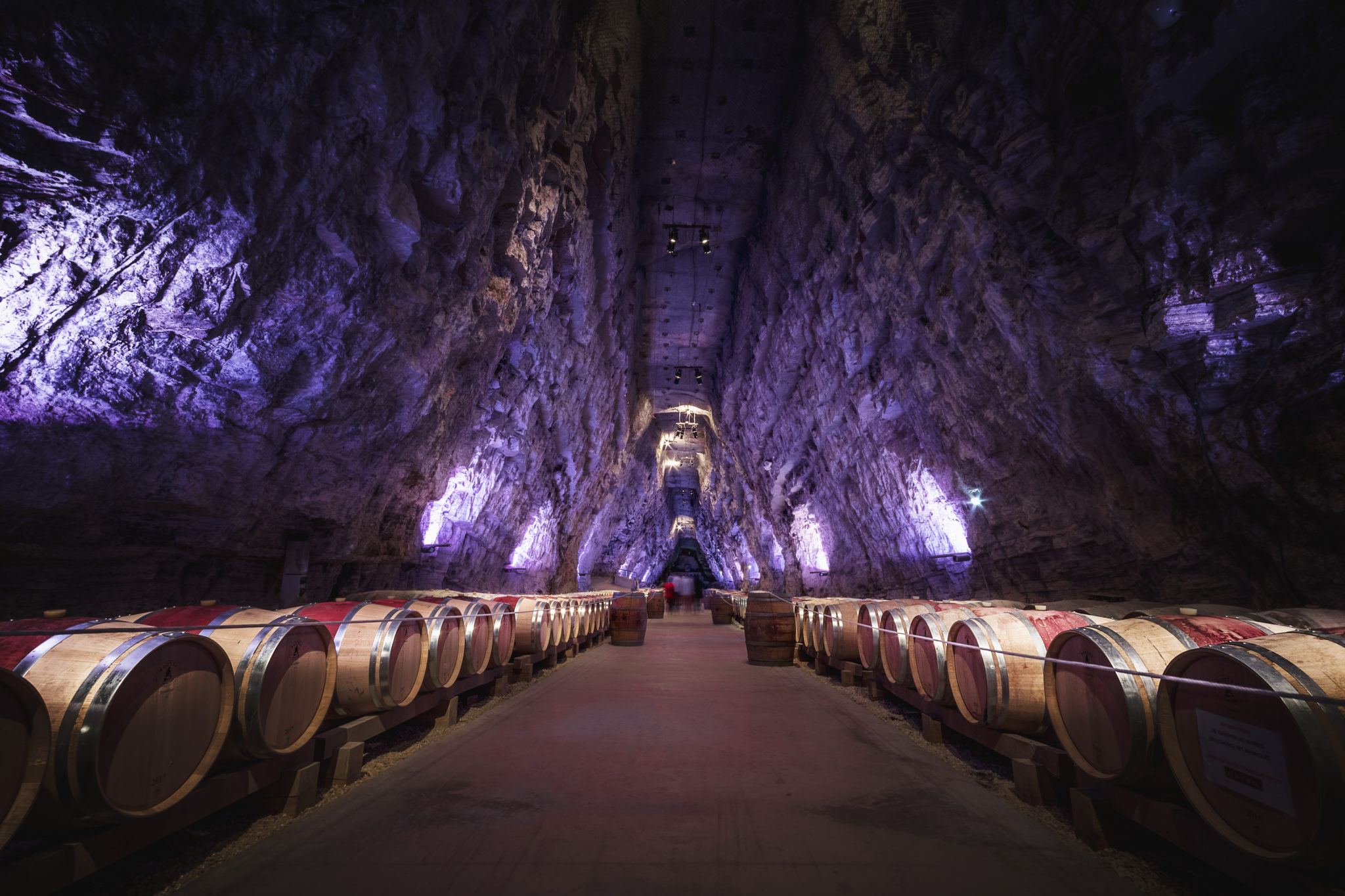 Séjour Aud’Étour : parcours entre olives Lucques et les caves de Terra Vinea