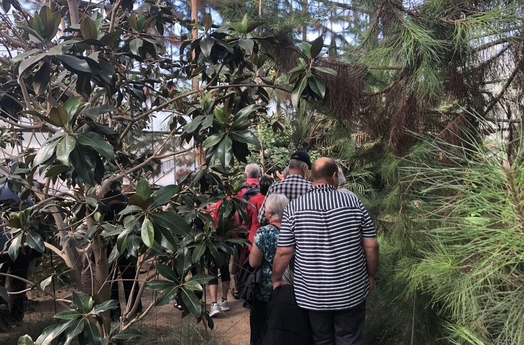 De l’Abbé Saunière aux dinosaures