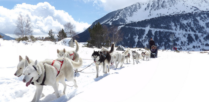 Aud’Étour, agence de voyage Occitanie, propose un séjour insolite en cabane de trappeur et balade en chiens de traîneau