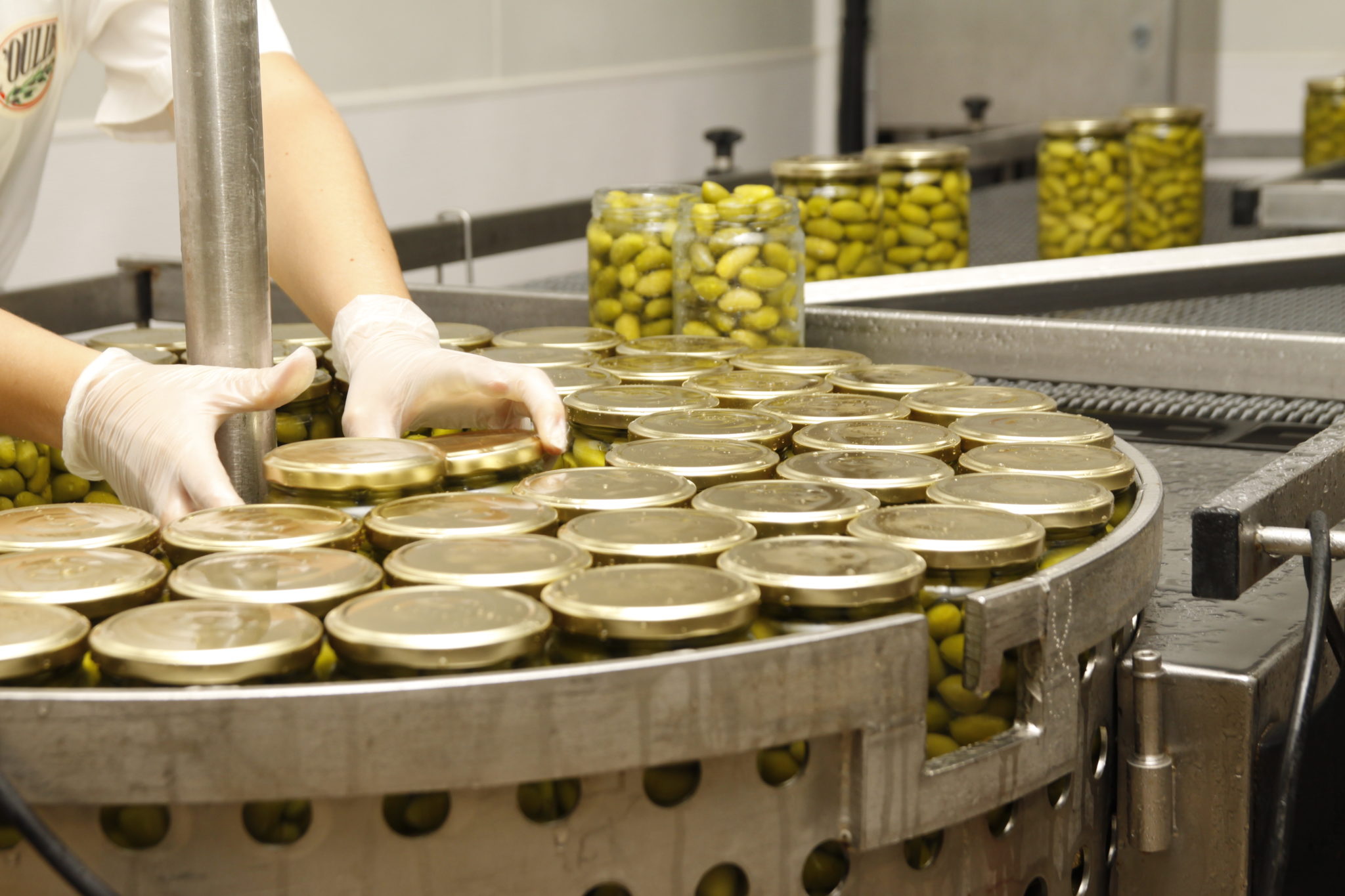 Aud’Étour propose une immersion en Aude : de l’huile d’olive aux caves de vinification