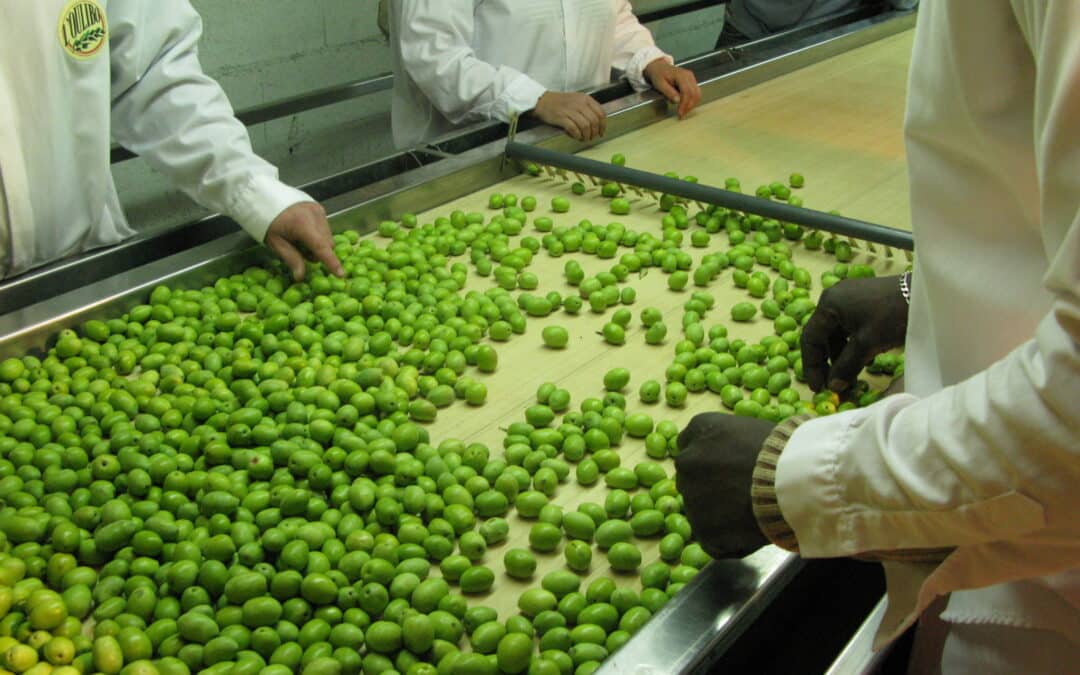 De l’huile d’olive au sel
