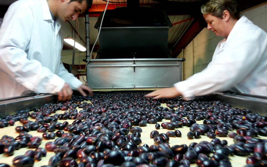 De l’huile d’olive au chocolat