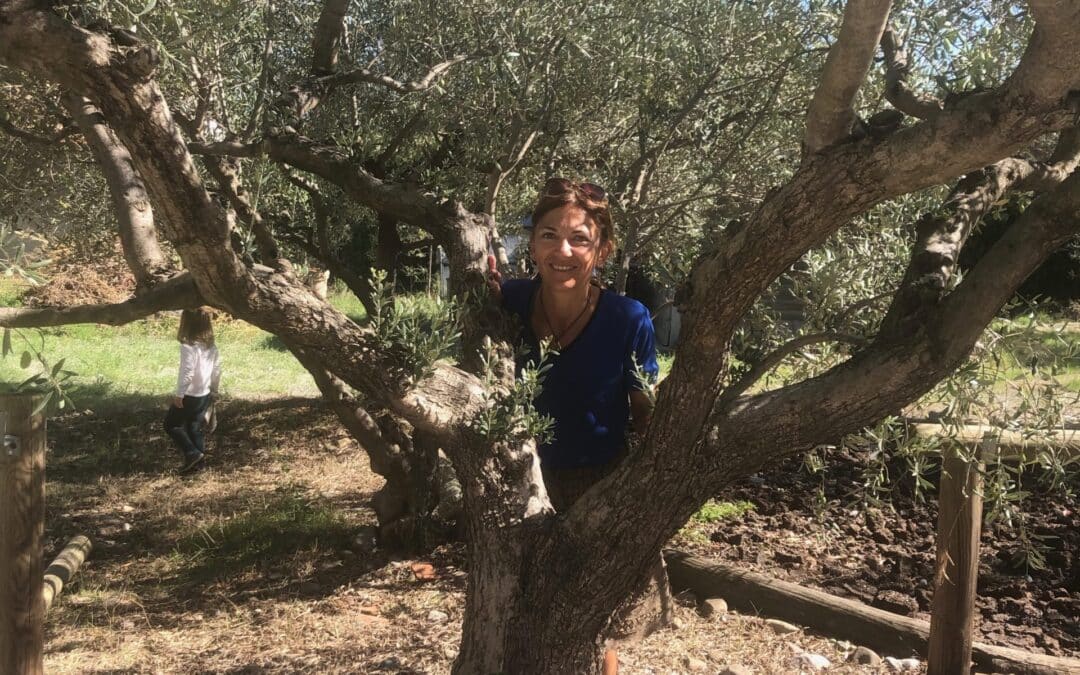 De l’Huile d’Olive à la Cité de Carcassonne