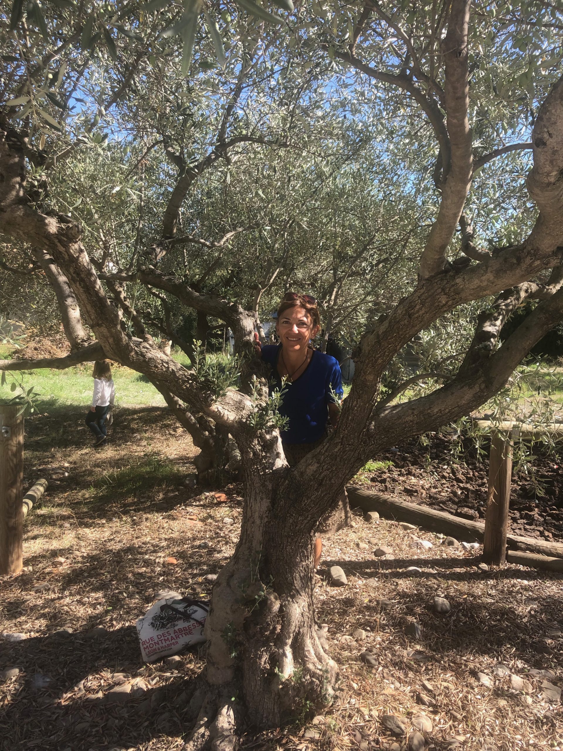 Aud’Étour : une journée entre l'histoire médiévale de Carcassonne et l'huile d'olive de l'Oulibo