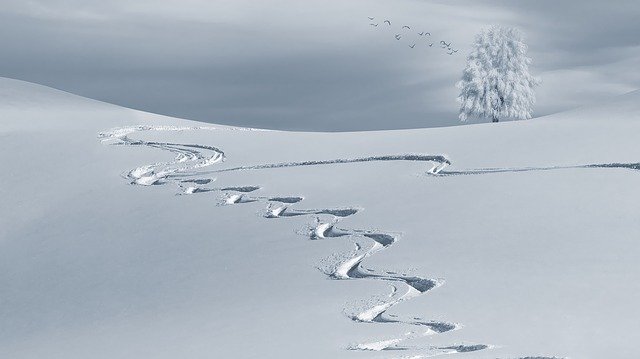 Découverte des Pyrénées en hiver avec Aud’Étour : randonnée en raquettes et chiens de traîneau pour une expérience unique