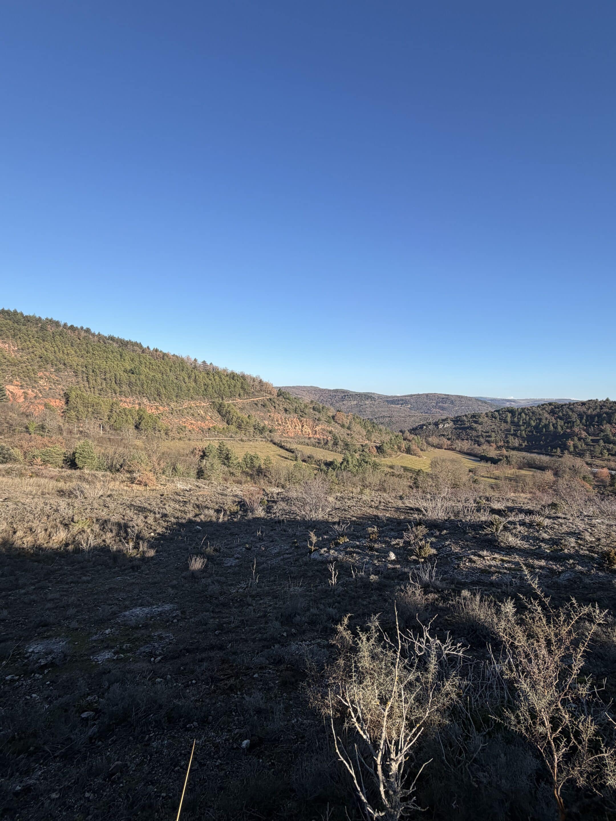 Paysage de campagne sous ciel bleu clair