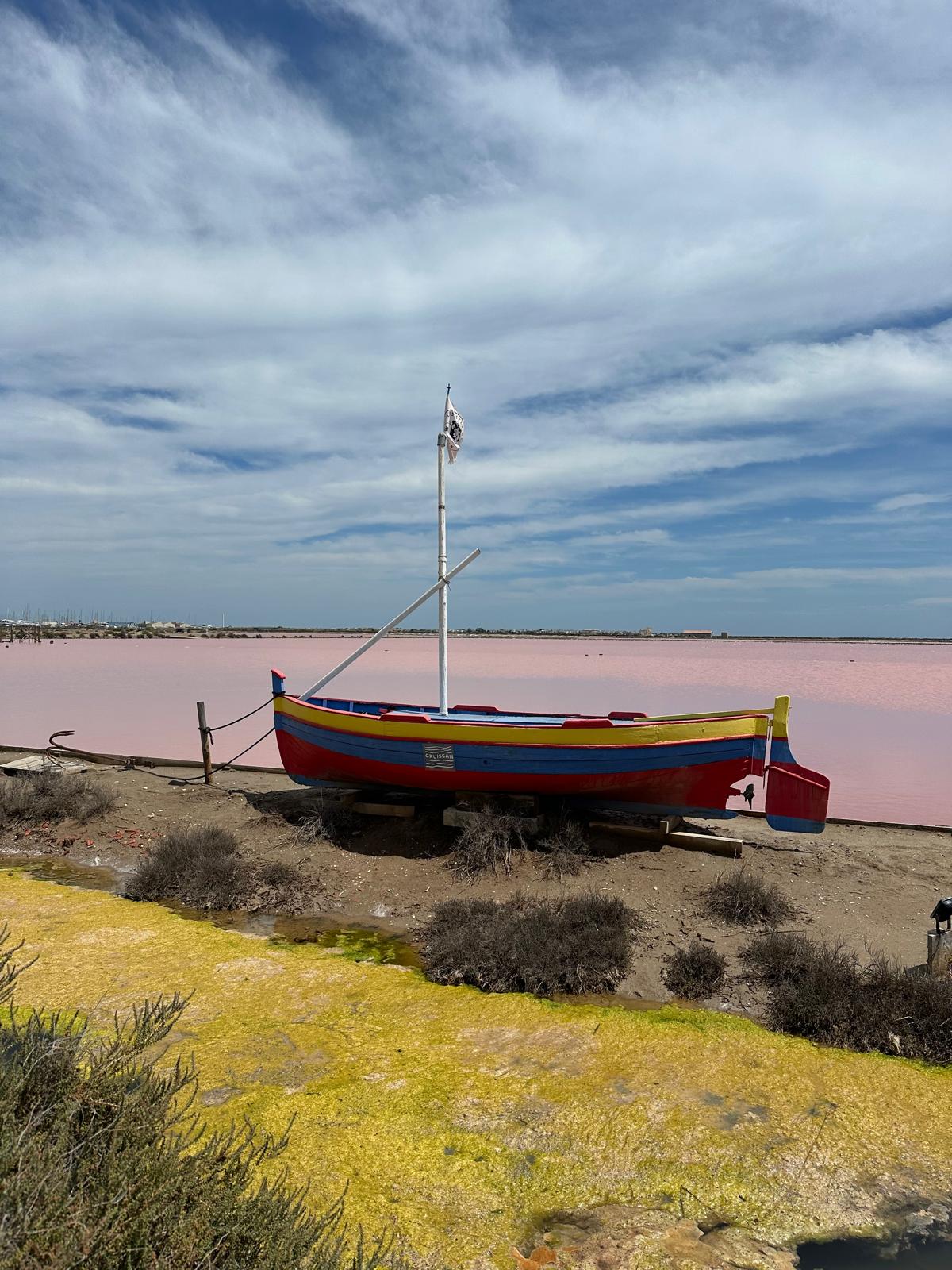 Bateau coloré près d'un étang rose, ciel nuageux.