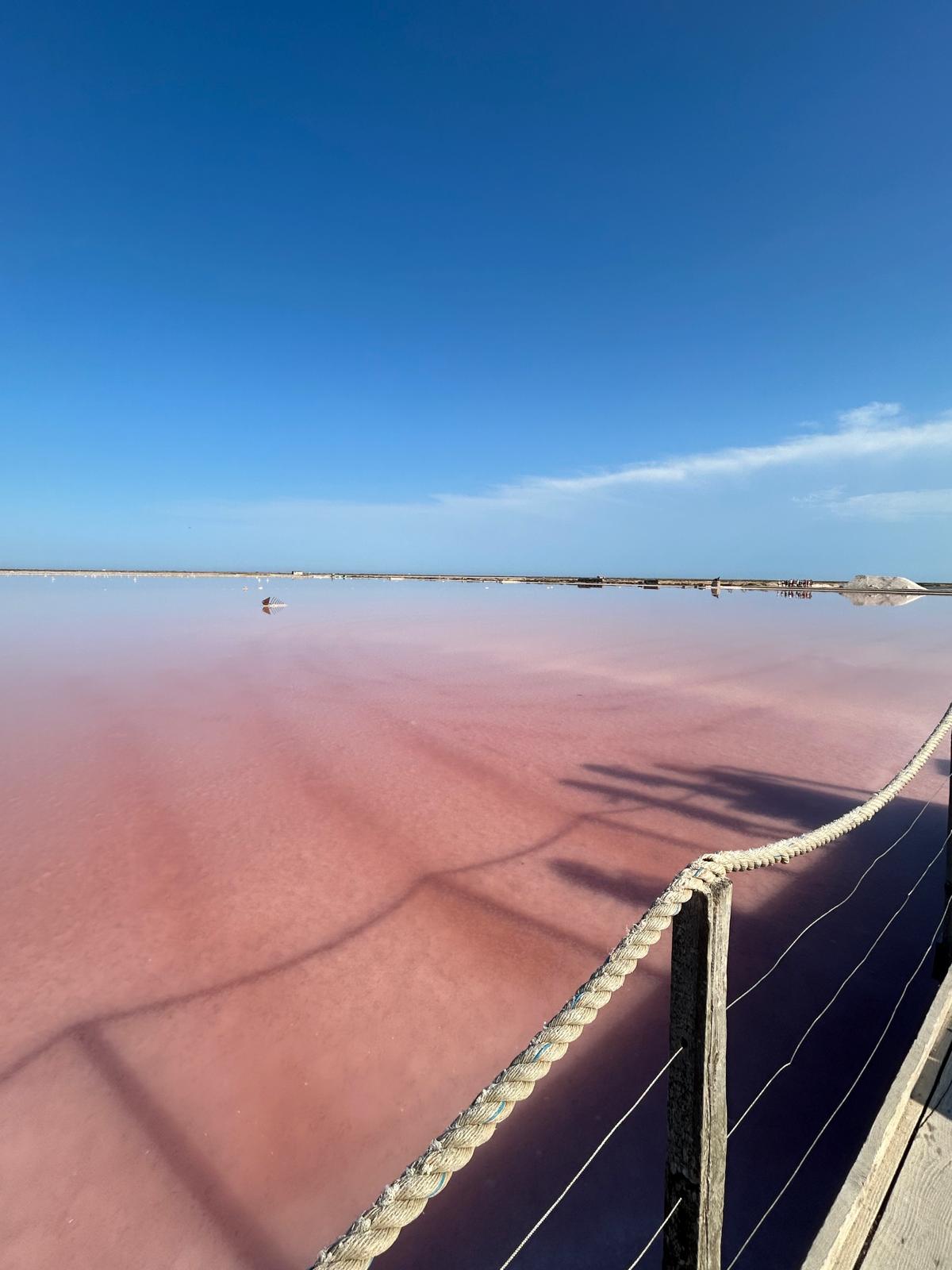 Lac rose sous ciel bleu clair