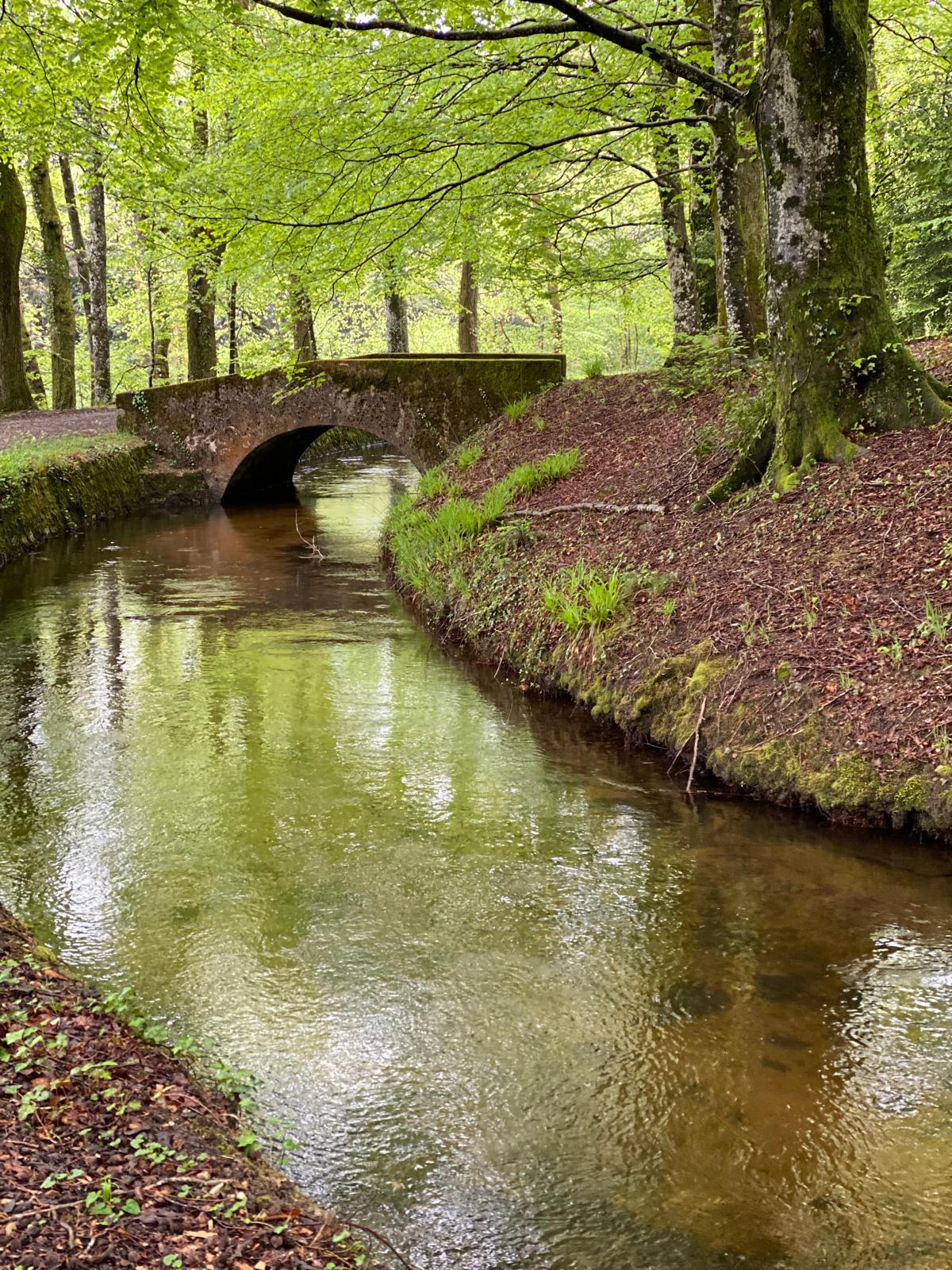 Petit pont en pierre sur ruisseau forestier verdoyant.