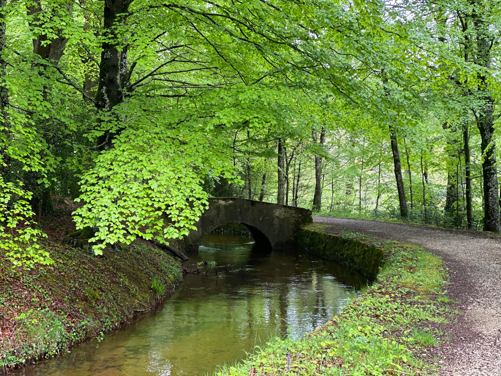 Petit pont en pierre dans la forêt verdoyante.